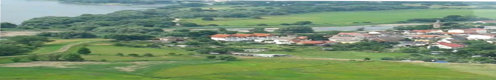 Hotel ElbRivera am Elberadweg umrahmt von Wiesen und Natur