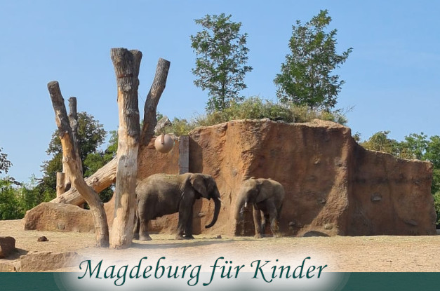 Elefanten im Tierpark Magdeburg